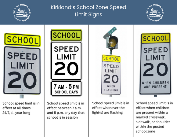 School safety cameras