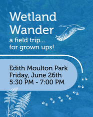Wetland Wander 2026