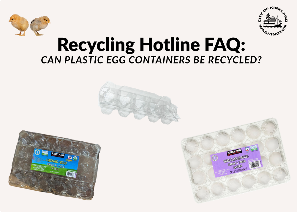 Images shows plastic egg containers