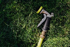 Photo of a hose in the grass