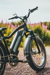 E-bike Safety Image