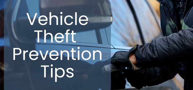 Vehicle Theft Prevention Tips graphic