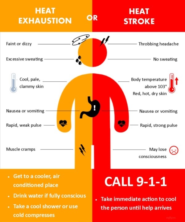 Heat illness graphic comparing symptoms of heat exhaustion and heat stroke and how to respond to each