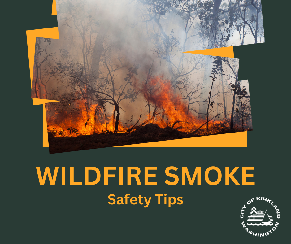 Graphic showing a forest fire with the text "Wildfire Smoke Safety Tips"