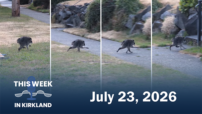 'This Week in Kirkland' graphic featuring Jimothy the raccon