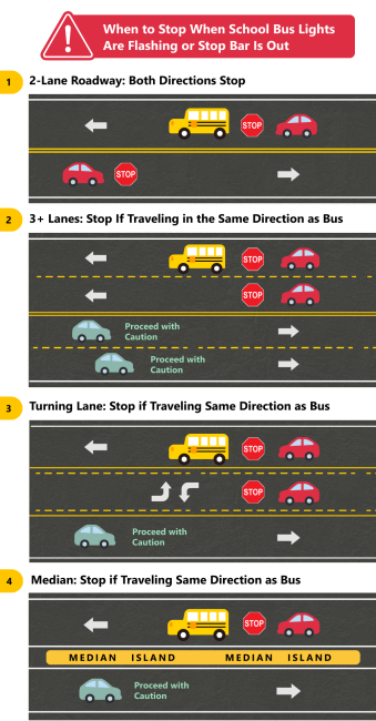 Infographic shows when to stop for a school bus