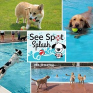 Graphic shows a See Spot Splash logo with a cartoon dog wearing a life preserver ring at the center, surrounded by photos of dogs at the event