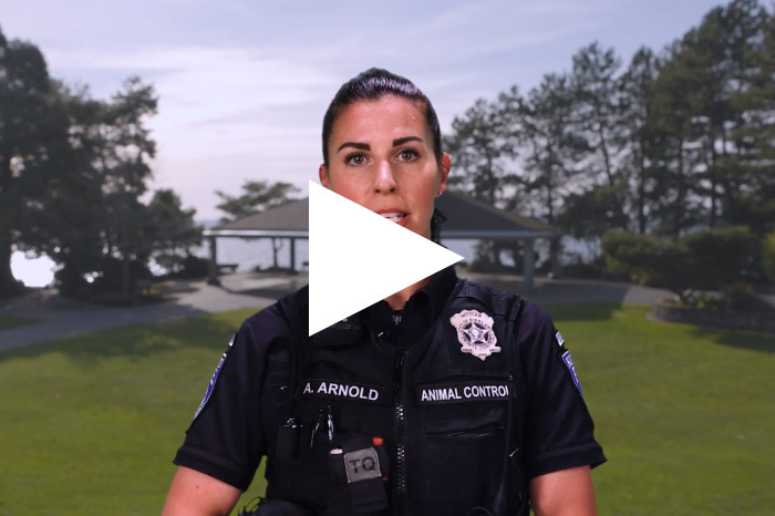 Thumbnail image showing a Kirkland animal control officer