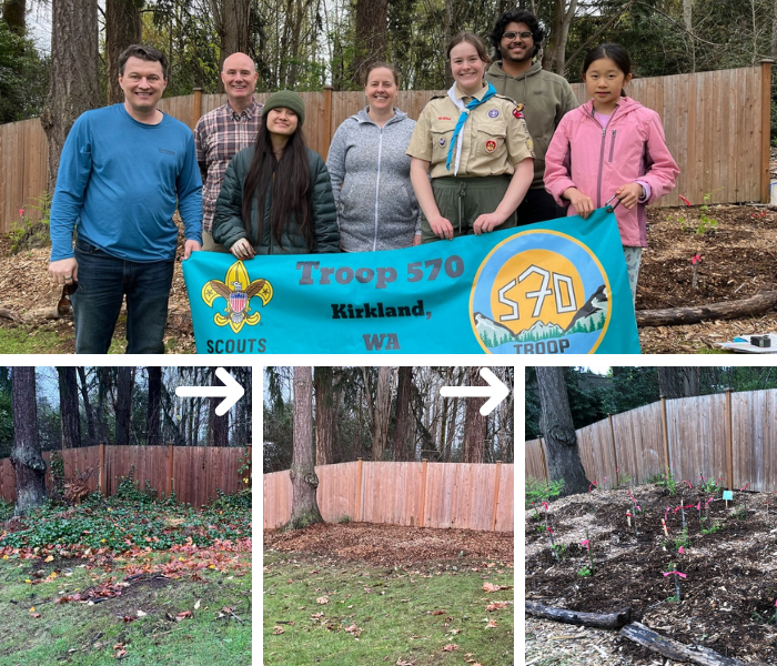 Collage shows images of Daphne and her BSA troop and three photos showing their volunteer efforts at Fisk Family Park