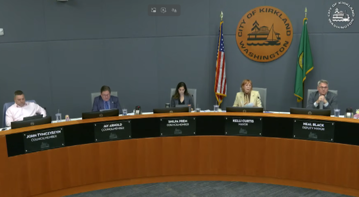 Screenshot of City Council meeting on September 15, 2026