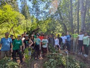 Green Kirkland group standing in forest 