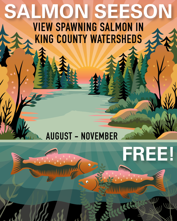 Salmon SEEson poster shows art of salmon in a stream and says, "View spawning salmon in King County Watersheds, August - November"