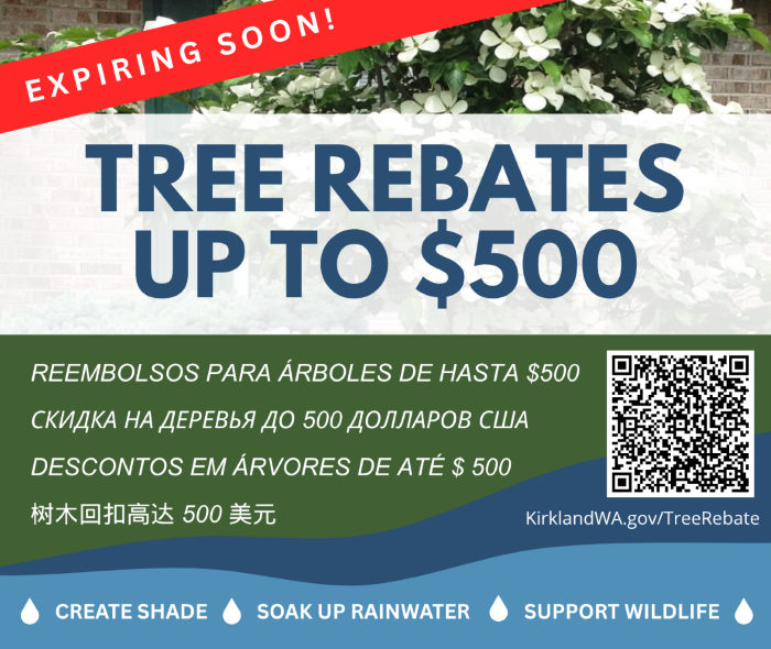 Graphic advertises Kirkland Tree Rebates in multiple languages