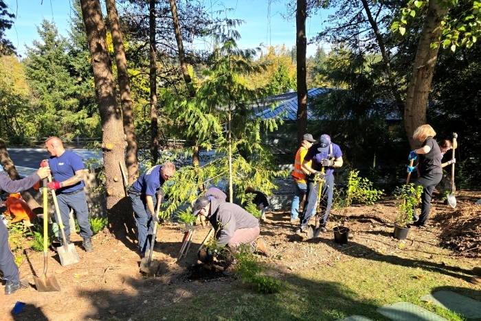 Image shows City of Kirkland arborists and firefighters planting trees for Arbor Day 2026