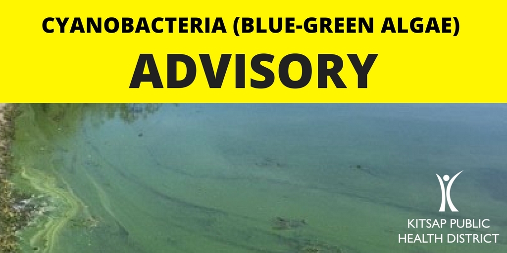 cyanobacteria advisory