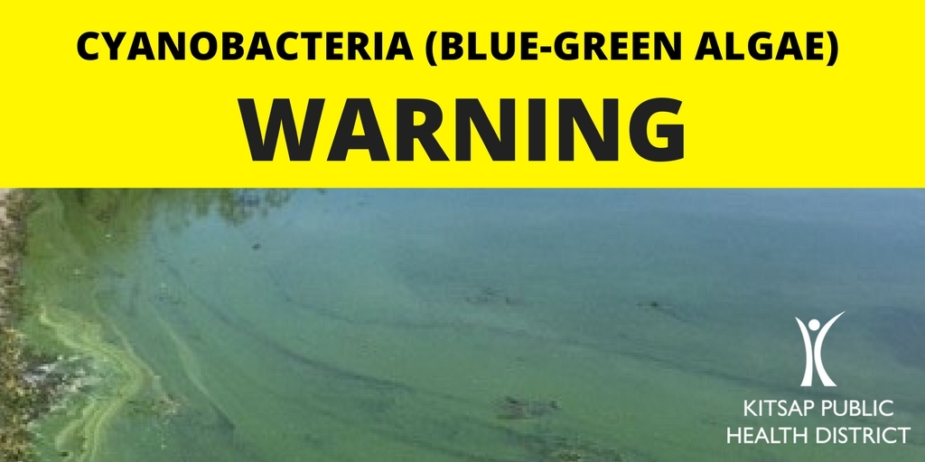 cyanobacteria warning