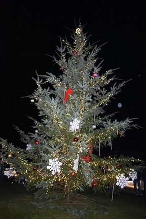 Manchester Christmas Tree