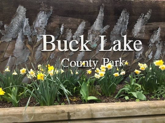 Buck Lake Park