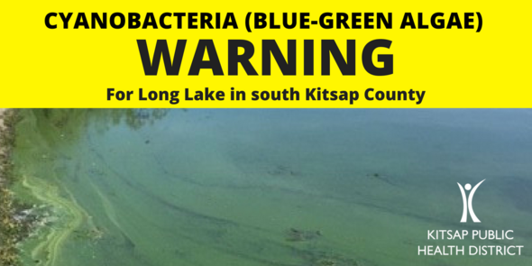 Long Lake Cyanobacteria
