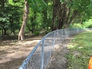 Ivy Removal from Harper