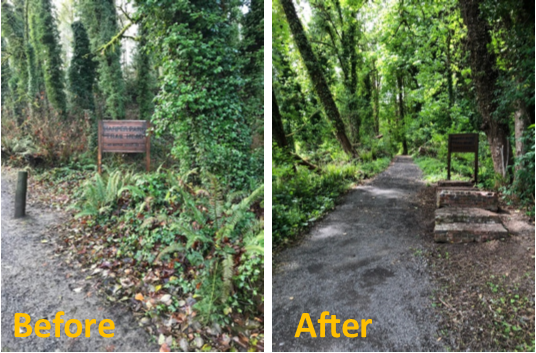 Before and after harper trail