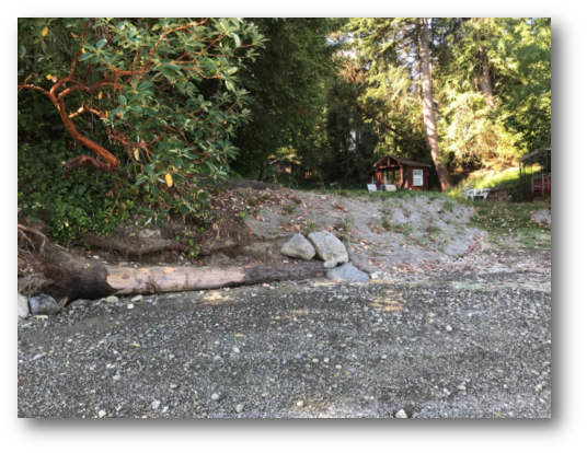 Shore Friendly Pic 1