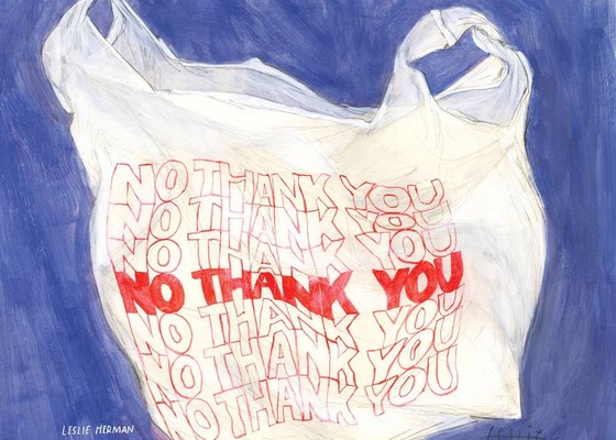 NO THANK YOU - art by Leslie Herman used with permission