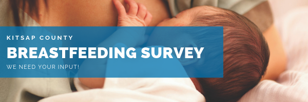 Breastfeeding survey