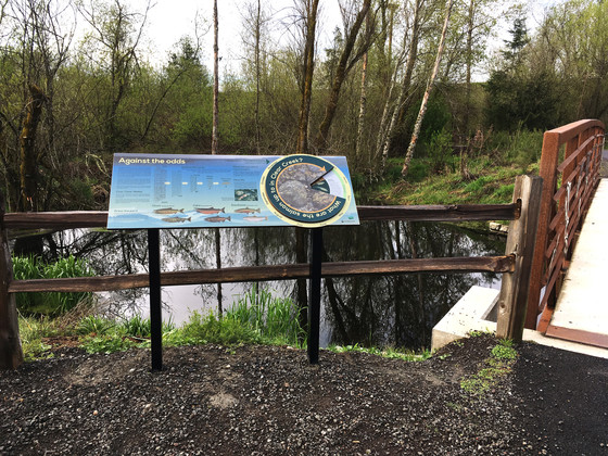 Salmon interpretive signage