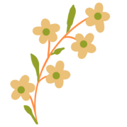 flower canva