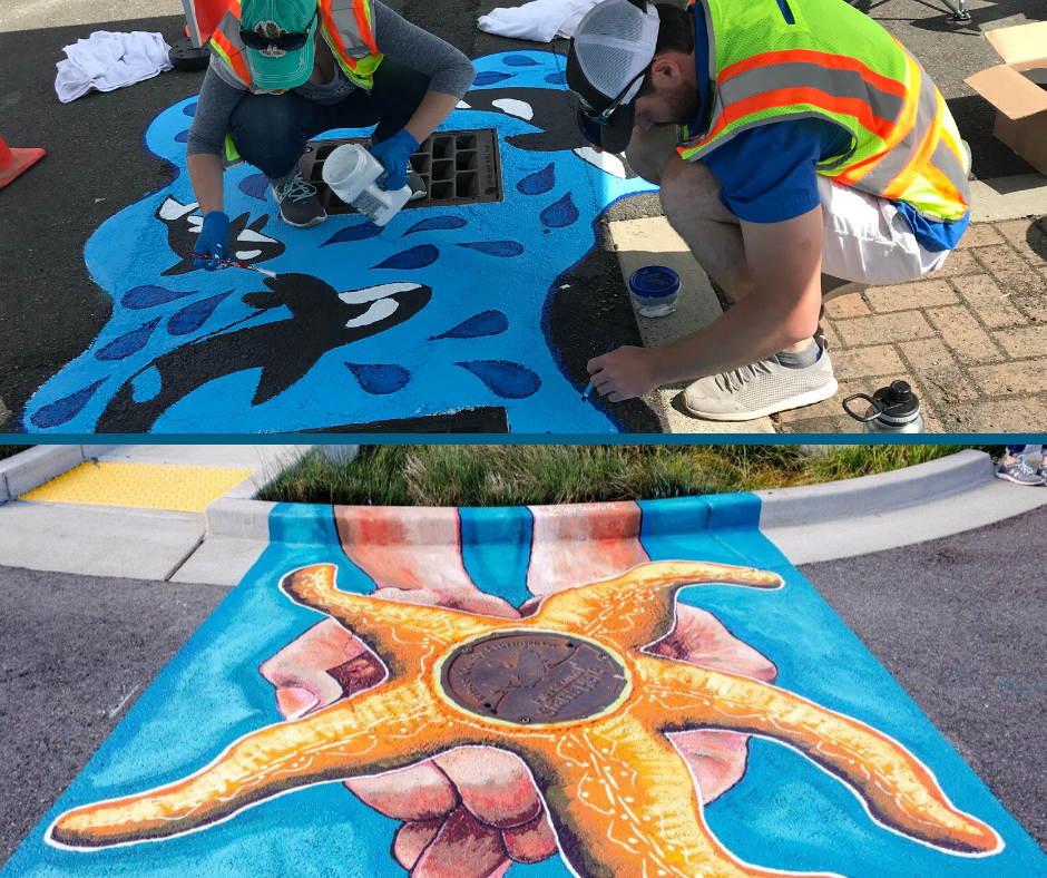 A photo of two storm drain art murals of Orcas and starfish. 