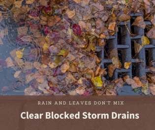 Storm drain blocked by fall leaves and rain