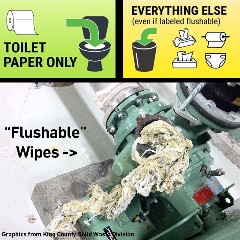 wipes clog pipes