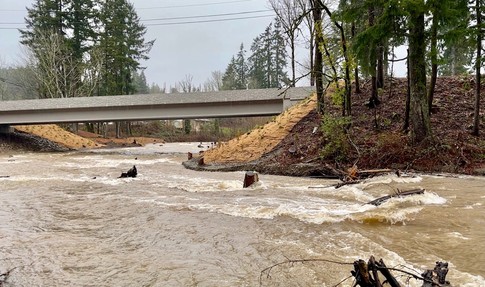 Chico Creek in Bremerton after heavy rains