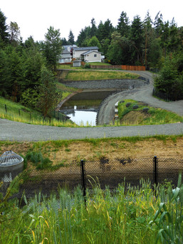 Ridgetop Regional Stormwater Pond