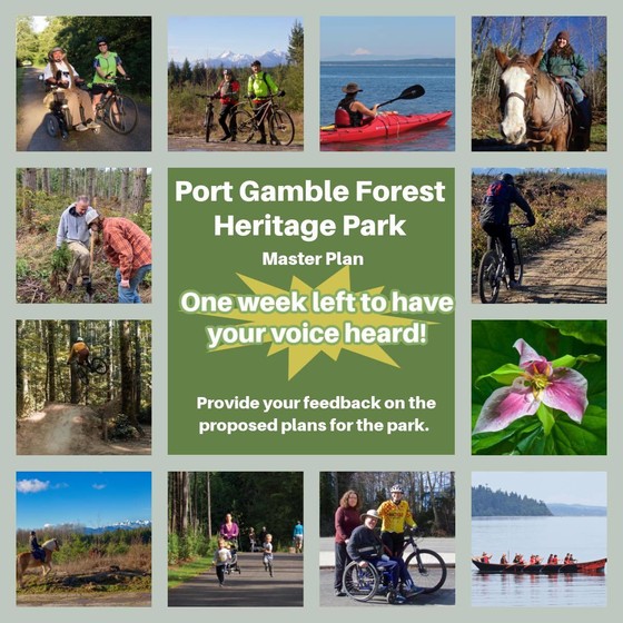 Port Gamble Heritage Park survey