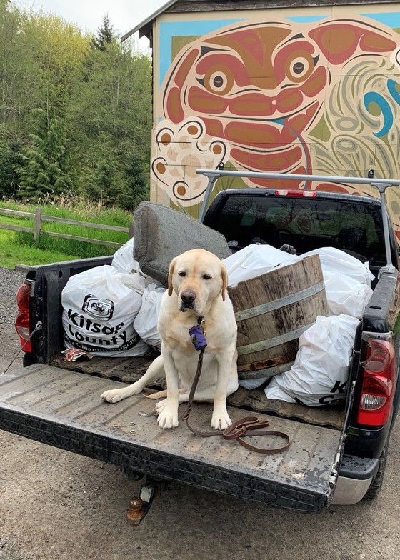 Litter in truck with dog