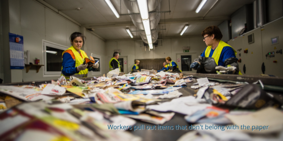 Workers Sorting Paper Recycling