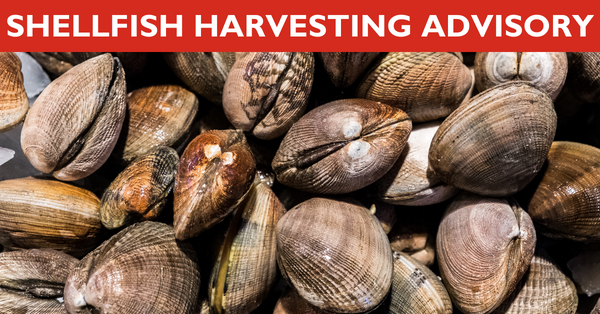 shellfish harvesting advisory
