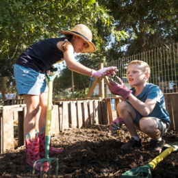 Kids in the compost pile with worms