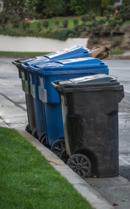 Curbside service bins