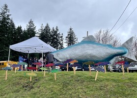 Students learn about salmon through a large 13 foot salmon model