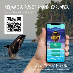 Hand holding a cell phone showing the Agents of Discovery app. An orca whale breeches the water in the background.