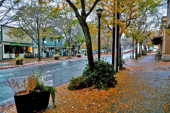 Downtown Kingston street in the fall with leaves falling