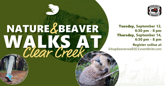 Beaver Walk Event Announcement