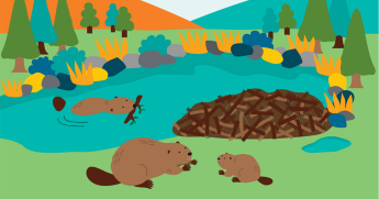 colorful animated picture of beavers building a dam