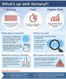 fentanyl fact sheet