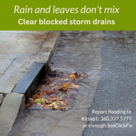 Leaves blocking a storm drain should be cleared