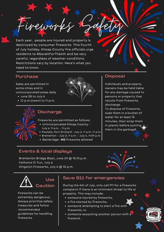 Fireworks 2024 Infographic