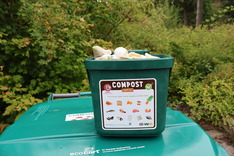 Curbside compost cart and kitchen pail toolkit.